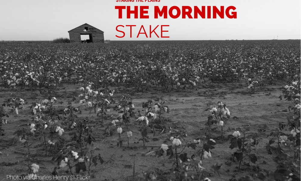 The Morning Stake | 2018.11.16