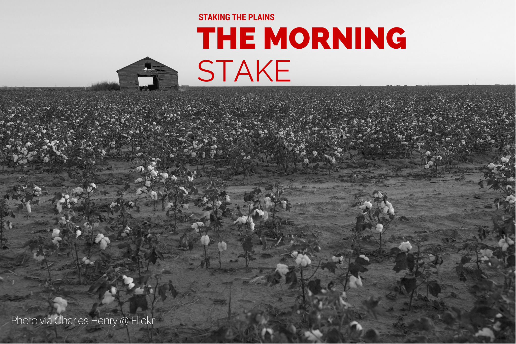 The Morning Stake | 2018.11.16