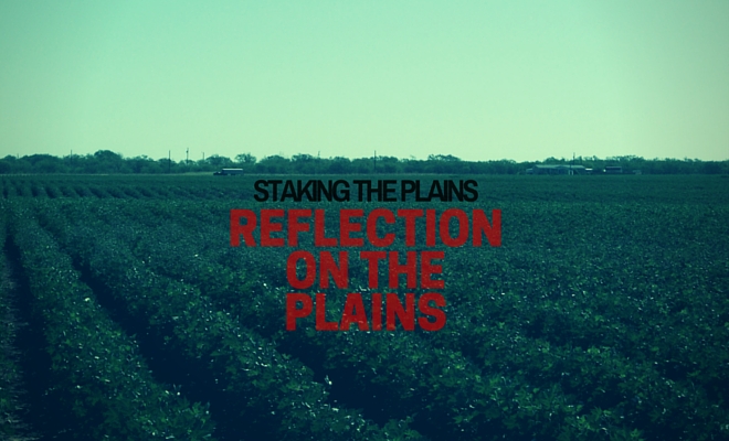 Reflection on the Plains: How I Celebrate Cotton