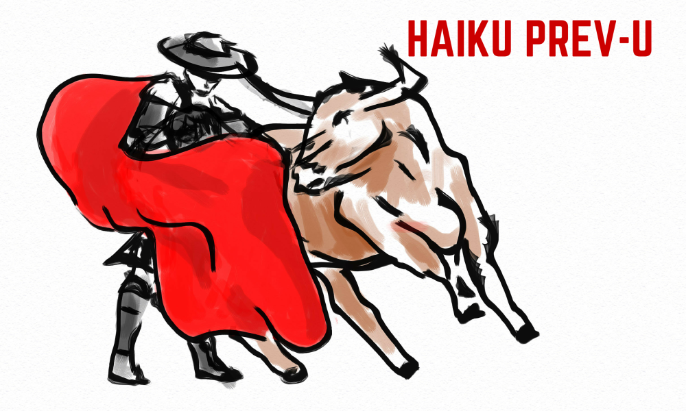 Haiku Prev-U: Texas
