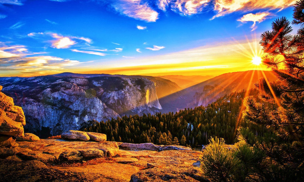 Weekend Open Thread | What’s Your Moment of Zen?