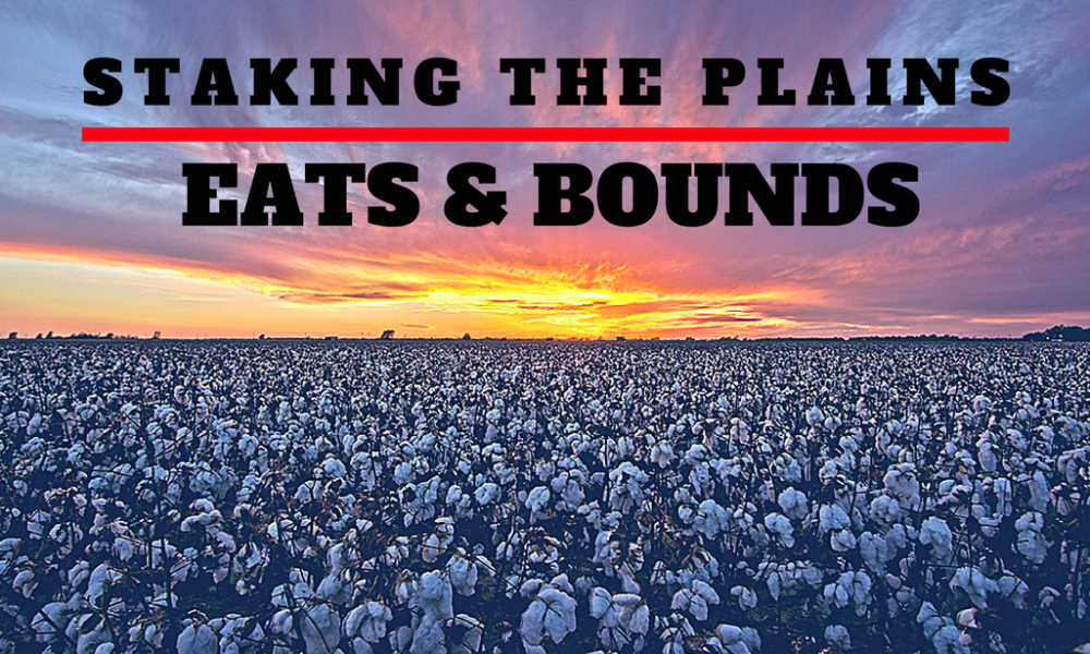 Eats & Bounds: Lubbock Concerts, Events & TTU Sports – 9/15/16