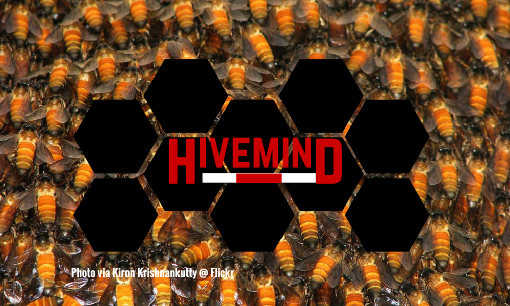 Hivemind: Number of Wins for 2017
