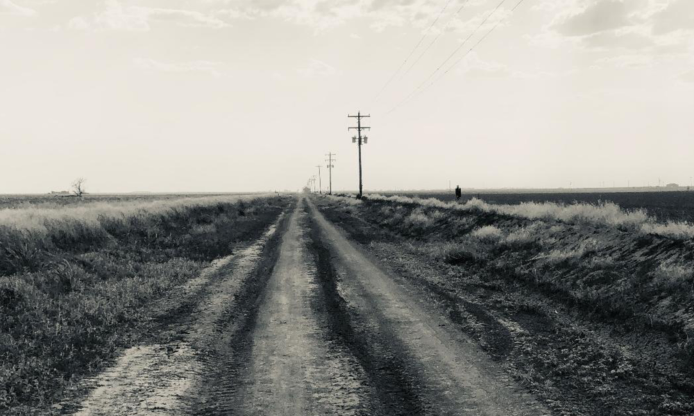 You Should’ve Seen it in Color