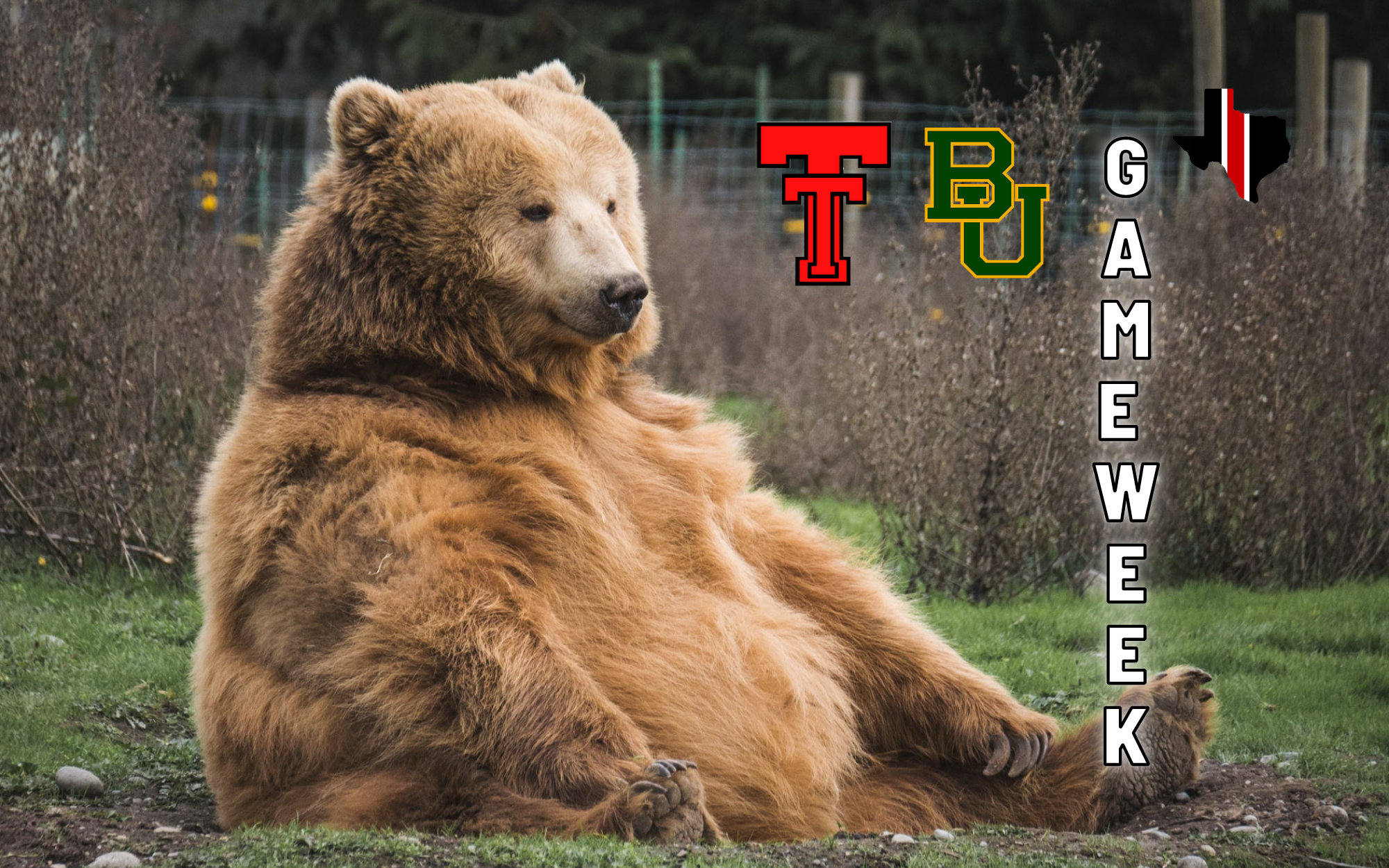 Game Week: Baylor vs. Texas Tech